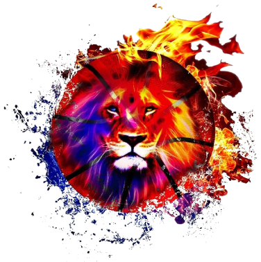 ASD Lions Academy – Il sito ufficiale della Polisportiva
